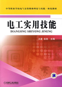电工实用技能——中等职业学校电气安装维修理论与实践一体化教材