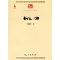 国际法大纲