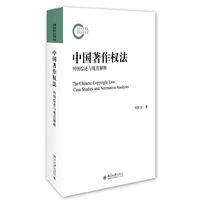 中国著作权法：判例综述与规范解释