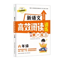 新语文高效阅读训练六年级