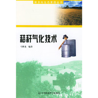 秸秆气化技术