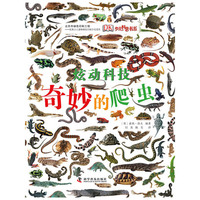 爬虫-炫动科技