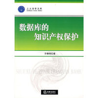 数据库的知识产权保护