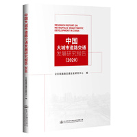 中国大城市道路交通发展研究报告（2020）
