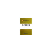 经济检查实务