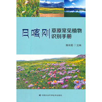 日喀则草原常见植物识别手册