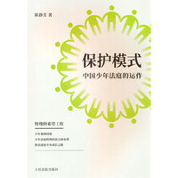 保护模式——中国少年法庭的运作