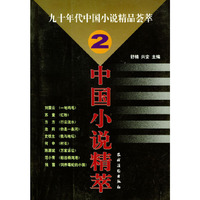 九十年代中国小说精品荟萃（2）