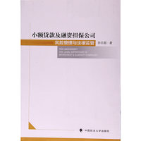 小额贷款及融资担保公司风险管理与法律监管
