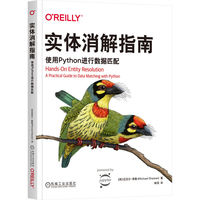 实体消解指南：使用Python进行数据匹配      [英]迈克尔·希勒
