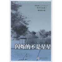 闪烁的不是星星（博茨瓦纳卷）——“珍奇之旅”人文随笔丛书