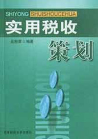 实用税收策划
