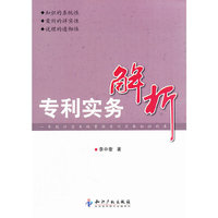 专利实务解析