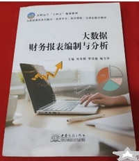 大数据财务报表编制与分析
