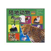 好宝宝学知识：陆地动物