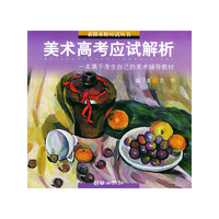 美术高考应试解析----本属于考生自己的美术辅导教材