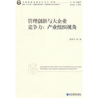 管理创新与大企业竞争力 产业组织视角