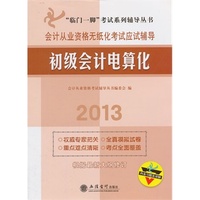 2013初级会计电算化