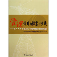 管理提升的探索与实践：国网青海省电力公司管理提升典型经验
