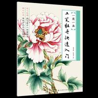 一周一画-工笔牡丹快速入门