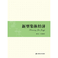 新型集体经济