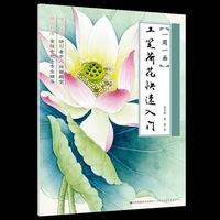 一周一画-工笔荷花快速入门