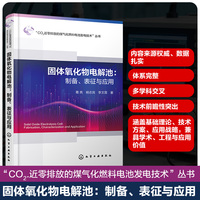 固体氧化物电解池：制备、表征与应用