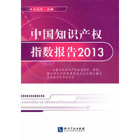 2013-中国知识产权指数报告