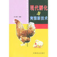 现代孵化与育雏新技术——科技兴农奔小康丛书