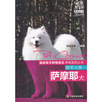 微笑天使 萨摩耶犬