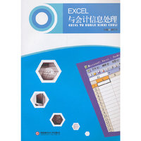 EXCEL与会计信息处理