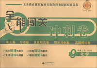 全能闯关冲刺卷：九年级化学下（RJ版）