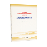 云南资源经济案例研究