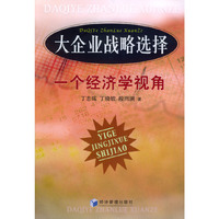 大企业战略选择：一个经济学视角
