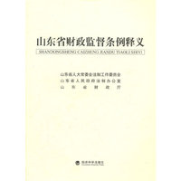山东省财政监督条例释义