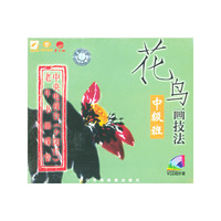 天天艺术 花鸟画技法 中级班 四片装(VCD)