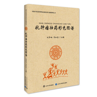 肿瘤细胞免疫：免疫细胞和肿瘤细胞的相互作用