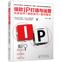 爆款IP打造与运营:内容创作+吸粉技巧+赢利模式