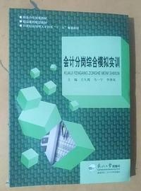 会计分岗综合模拟实训