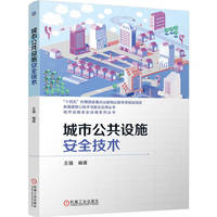 城市公共设施安全技术    王强   地下管网 道路设施 城市公共设施