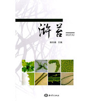 浒苔