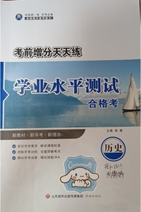 专业水平测试合格考 历史