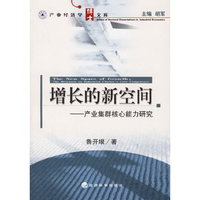 增长的新空间——产业集群核心能力研究