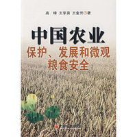 中国农业保护、发展和微观粮食安全