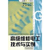 高级维修电工技术与实例/高级技工丛书