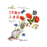 了不起的小老鼠