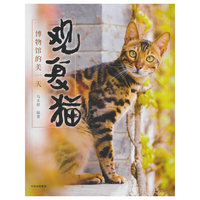 观复猫：博物馆的美一天