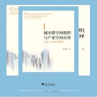 城市群空间组织与产业空间分异：过程、机制与模式