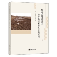 黄河三角洲地区路基处理技术研究与工程实践
