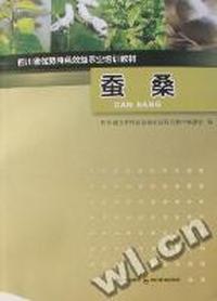 蚕桑
